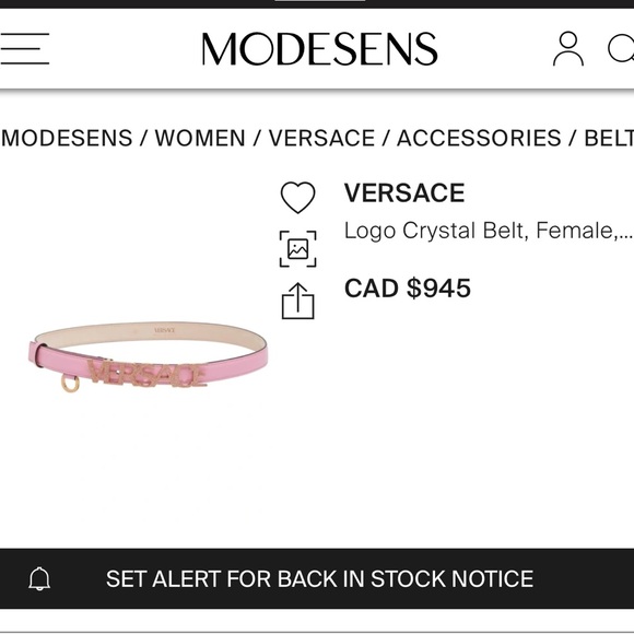 ❗️SOLD❗️NEW! Versace crystal belt✨✨✨ - Picture 6 of 6